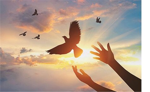 熱烈祝賀經(jīng)貿(mào)物流系嚴(yán)妍、劉志清老師被評為學(xué)院先進(jìn)工作者
