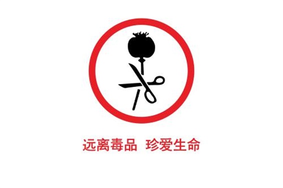 我院開展“厲害了，我的無毒青春”主題活動(dòng)